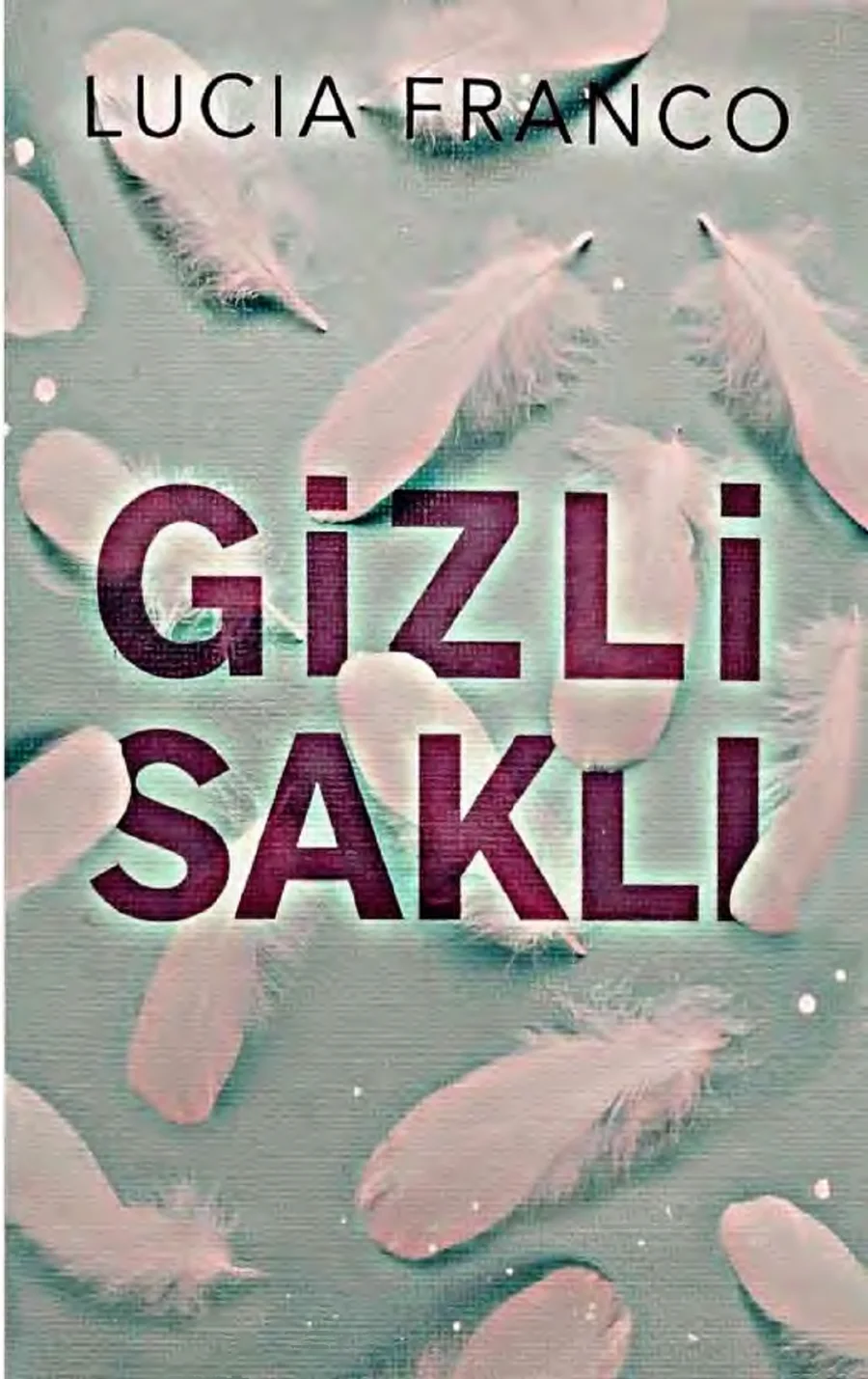 Gizli Saklı kapak görseli