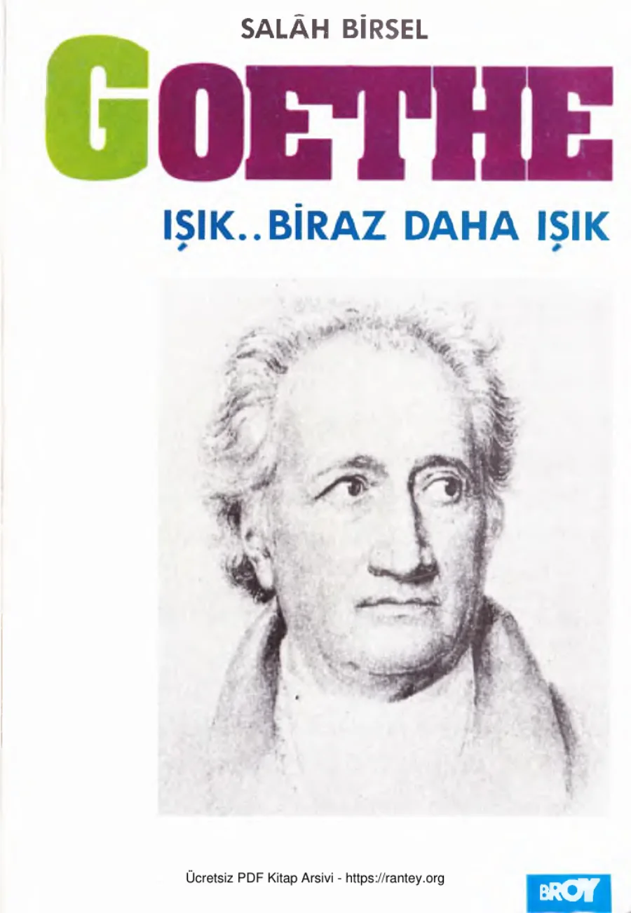 Goethe: Işık, Biraz Daha Işık kapak görseli