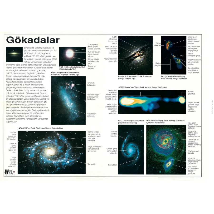 Gokadalar kapak görseli