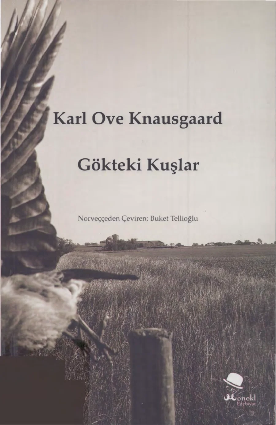 Gökteki Kuşlar kitap kapağı