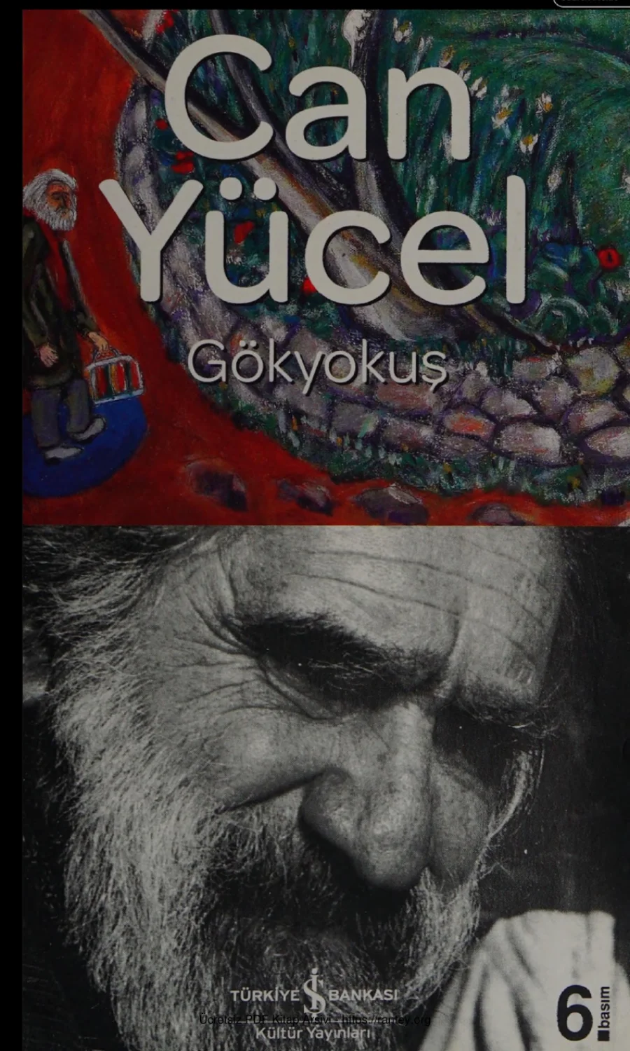 Gökyokuş kapak görseli