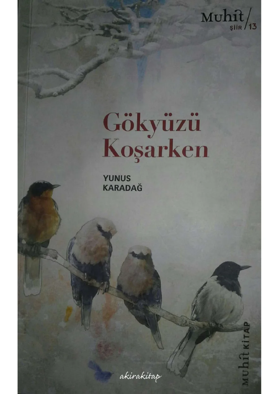Gökyüzü Koşarken kapak görseli