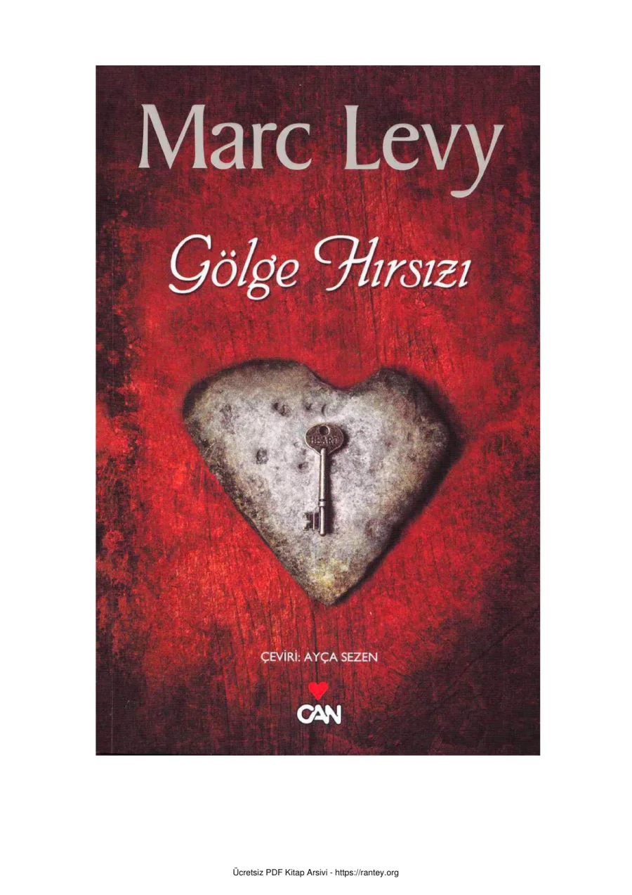 Gölge Hırsızı kapak görseli