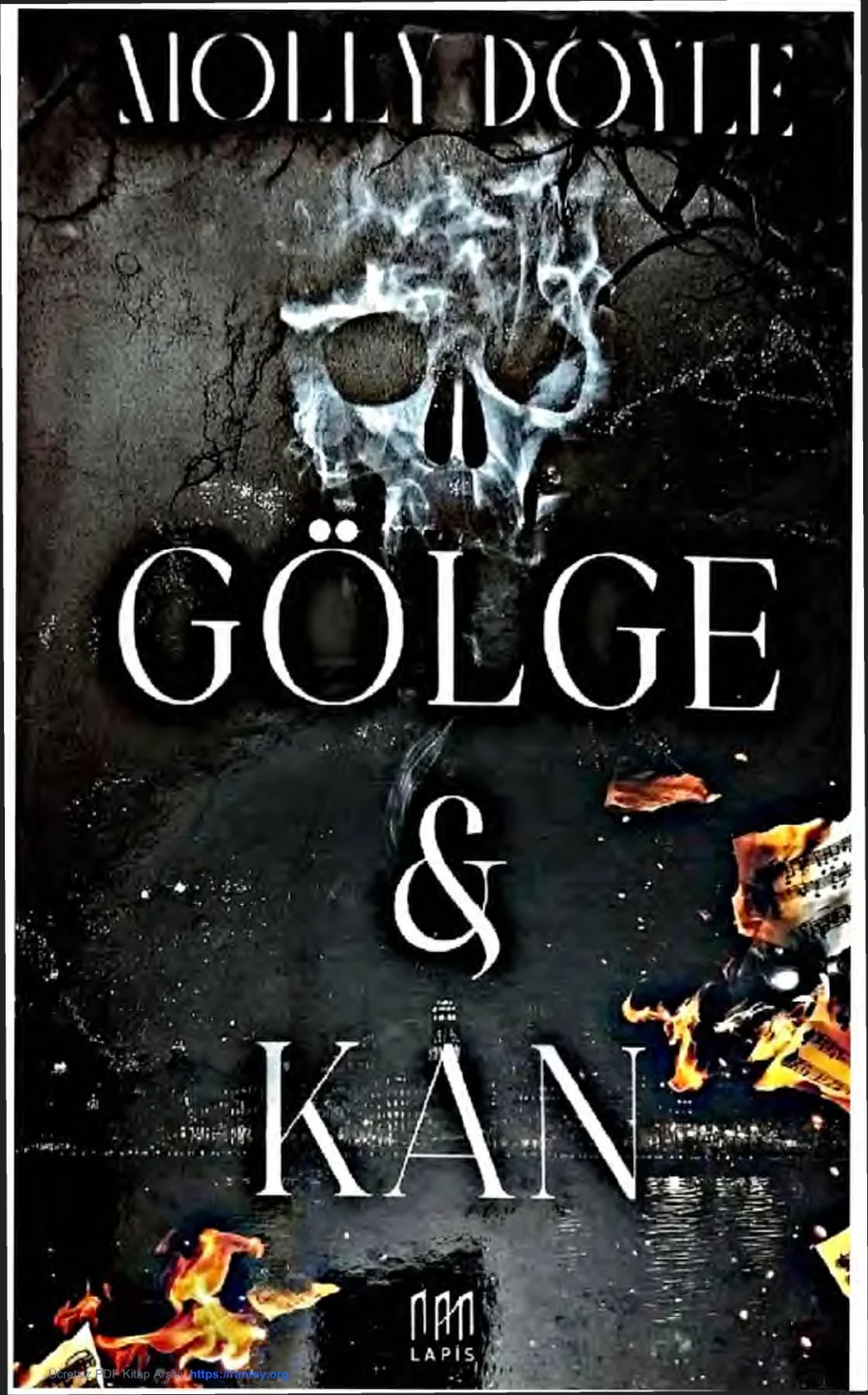 Gölge Kan kapak görseli
