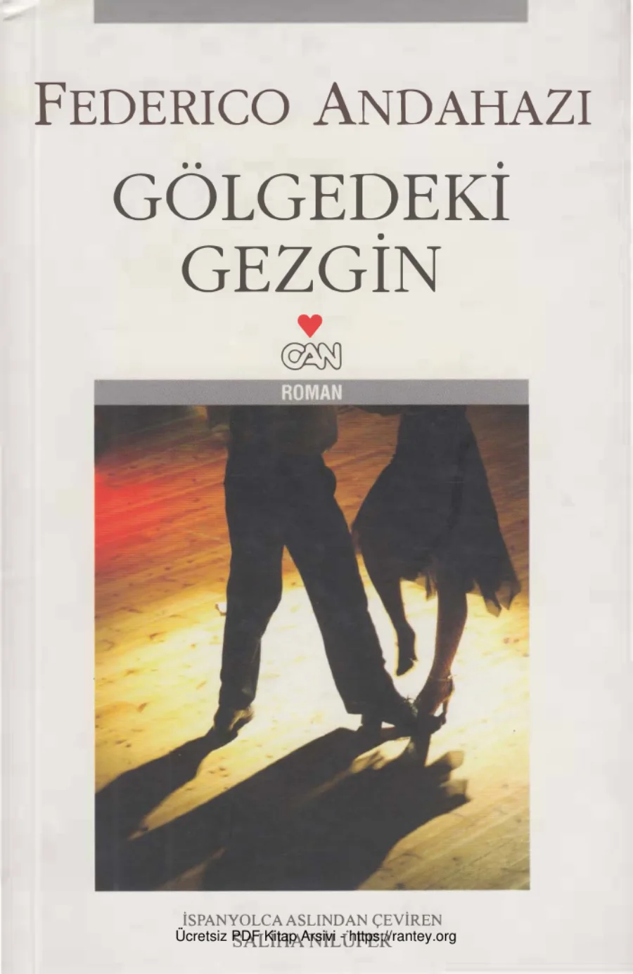 Gölgedeki Gezgin kapak görseli
