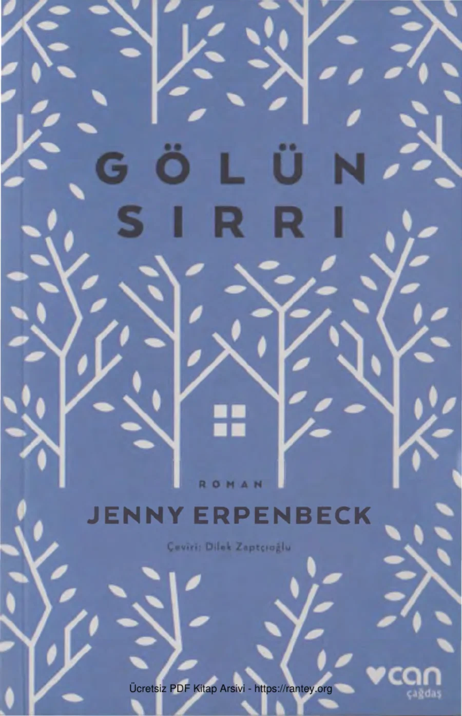 Gölün Sırrı kapak görseli