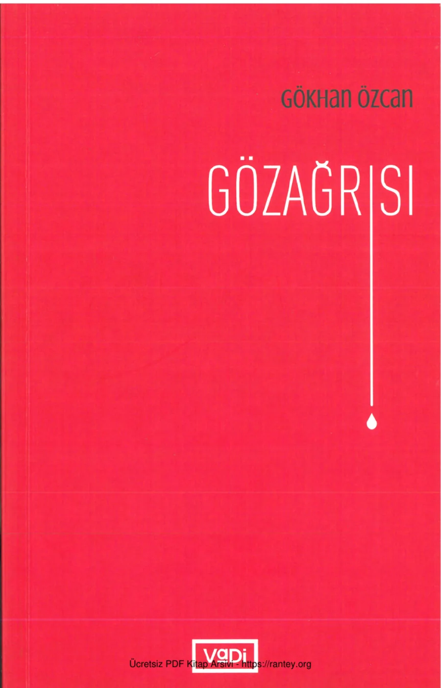 Gözağrısı Vadi Yayınları kapak görseli