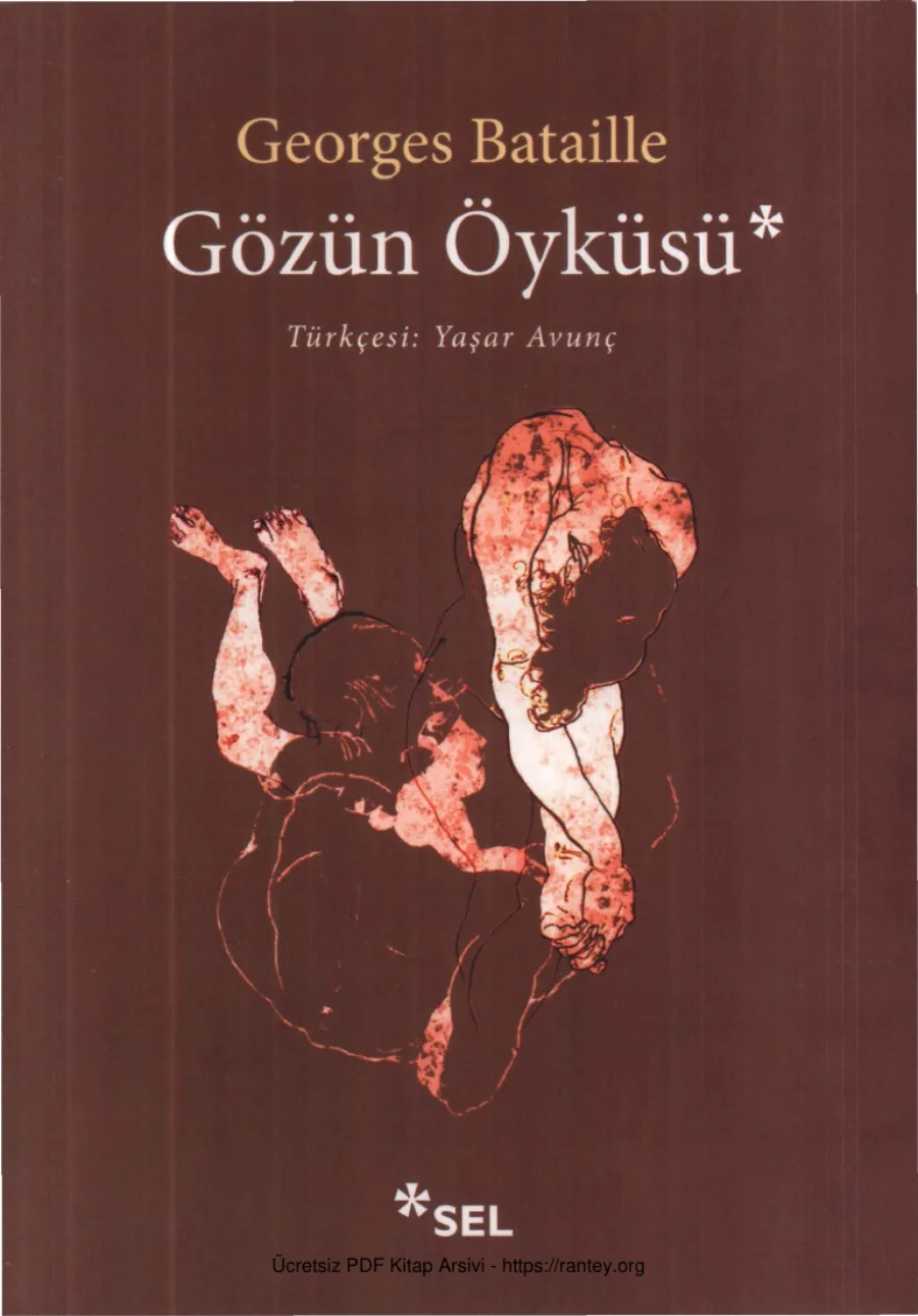 Gözün Öyküsü kapak görseli