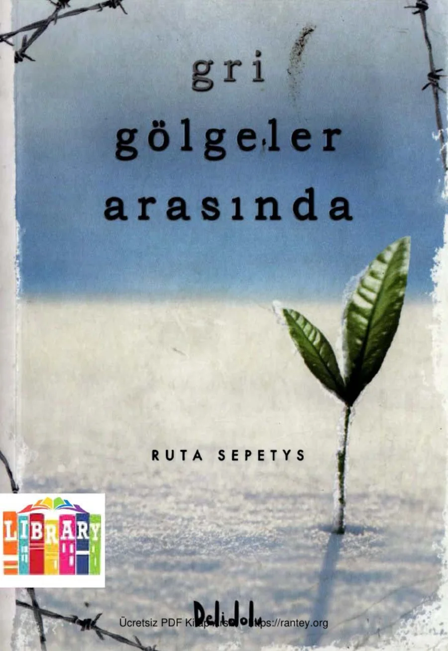Gri Gölgeler Arasında kapak görseli