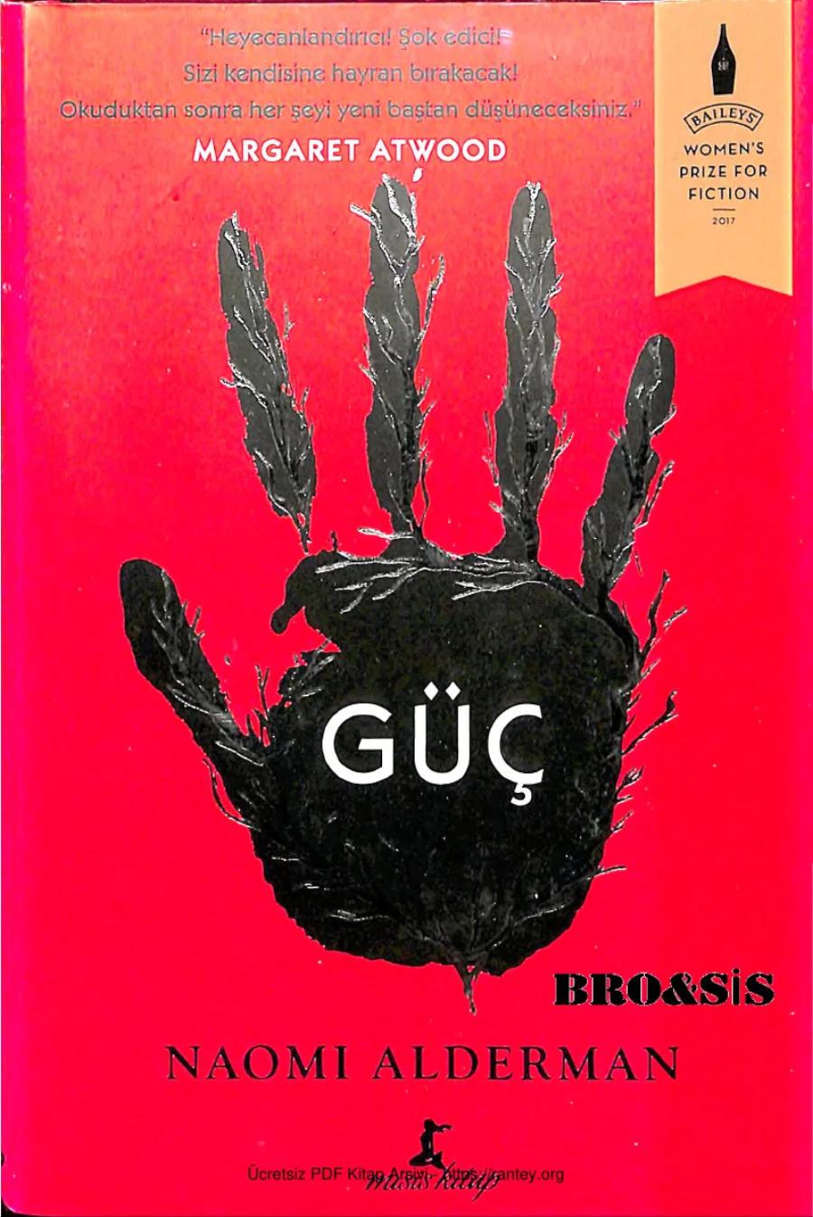 Güç kapak görseli