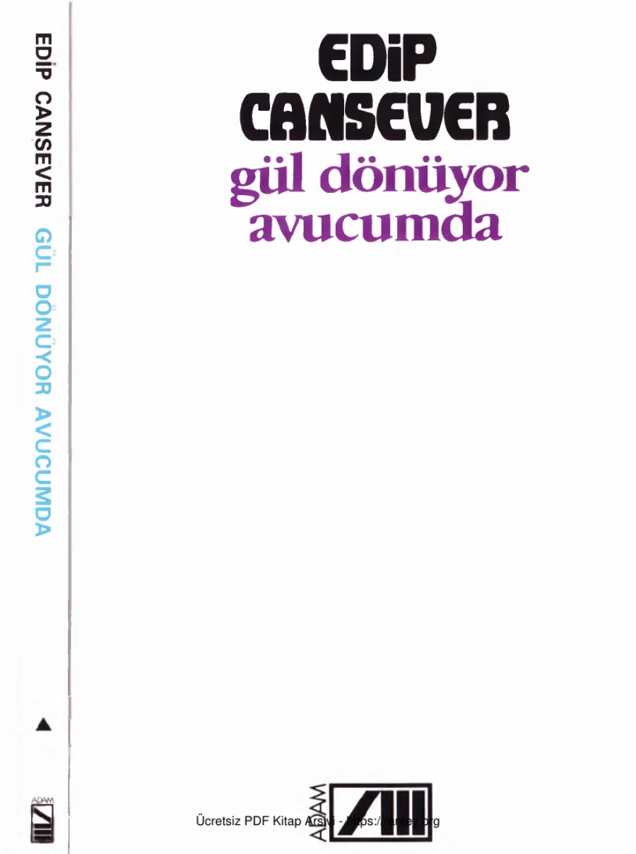 Gül Dönüyor Avucumda kapak görseli