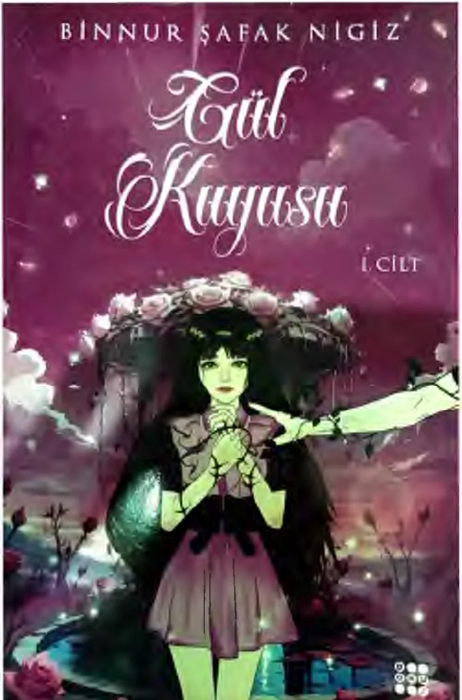 Gül Kuyusu 1 kapak görseli