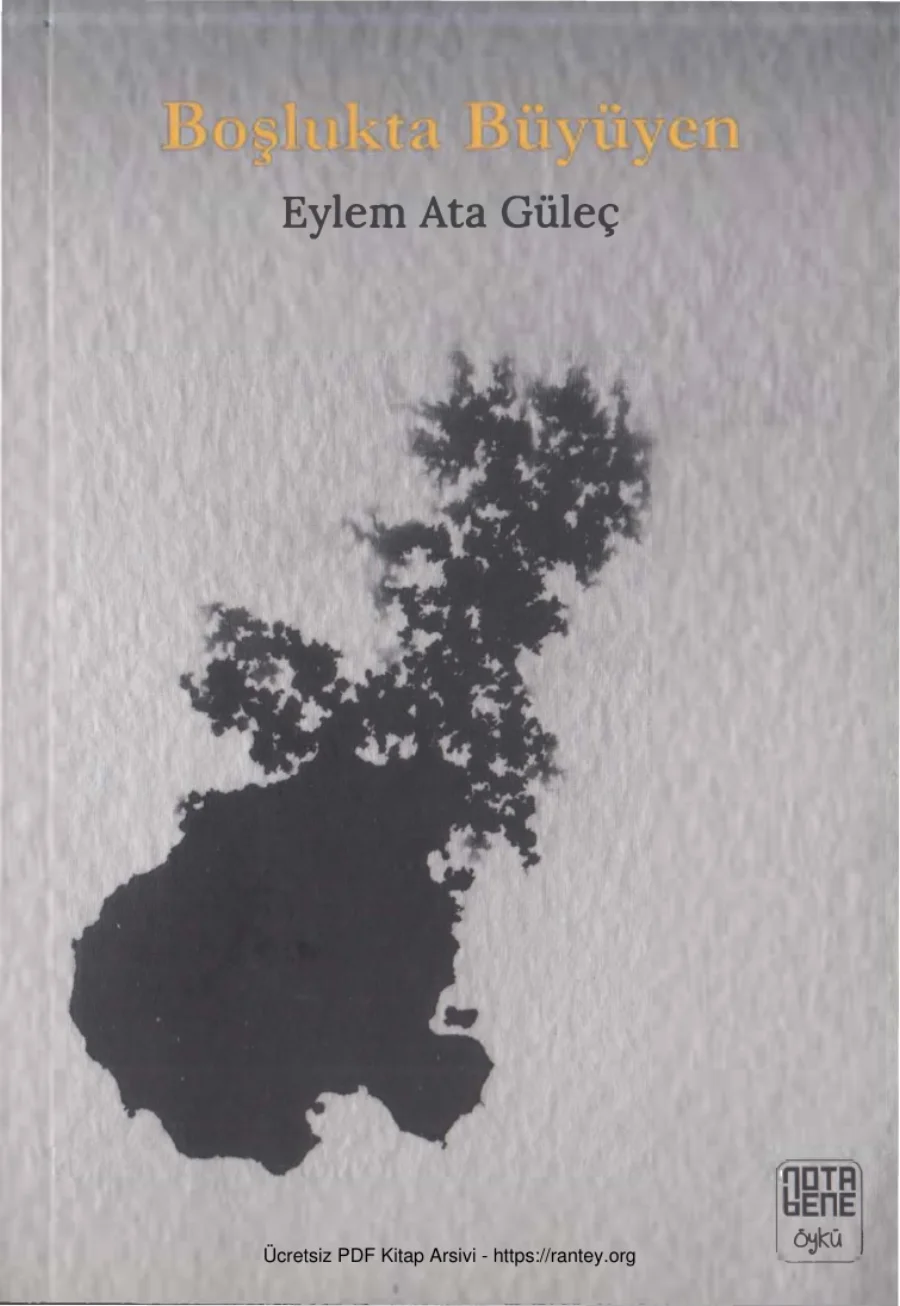 Güleç Boşlukta Büyüyen Nota Bene Yayınları kapak görseli