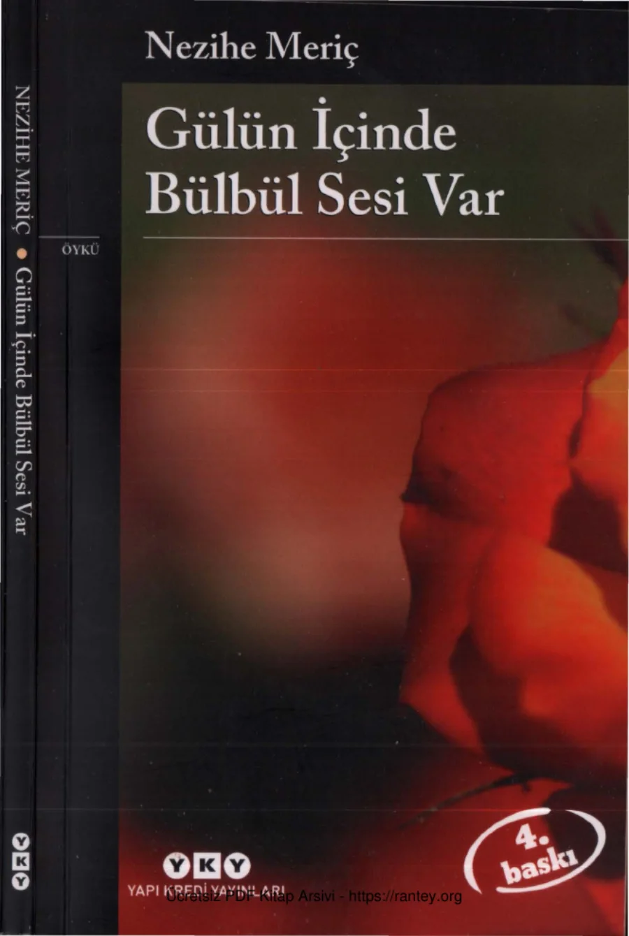 Gülün İçinde Bülbül Sesi Var kapak görseli