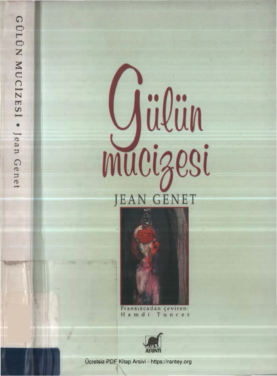 Gülün Mucizesi kapak görseli