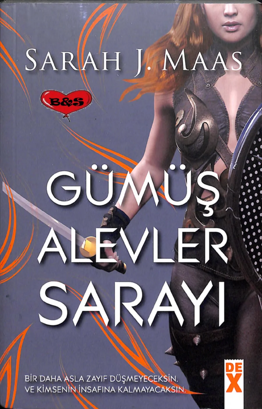 Gümüş Alevler Sarayı kapak görseli