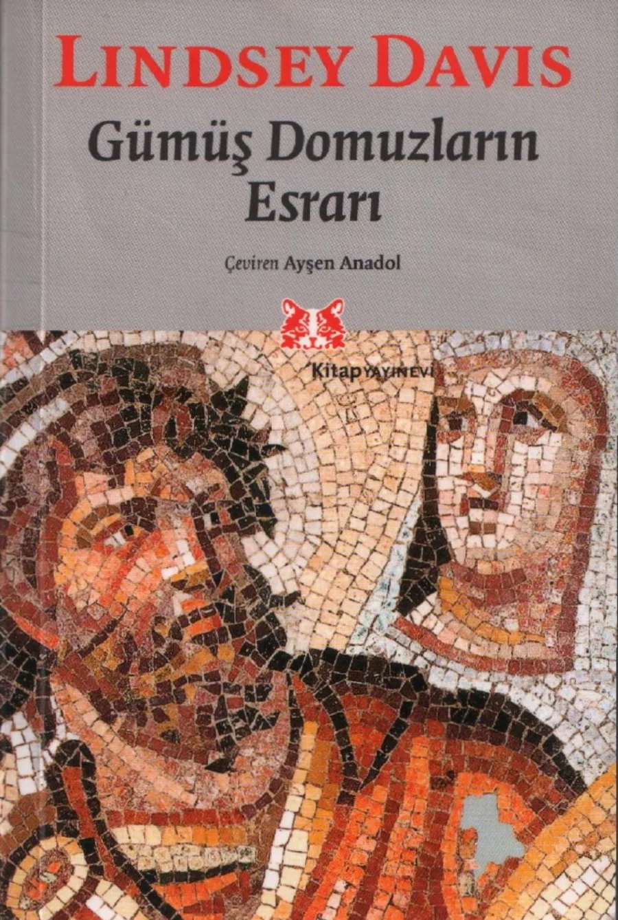Gümüş Domuzların Esrarı kitap kapağı