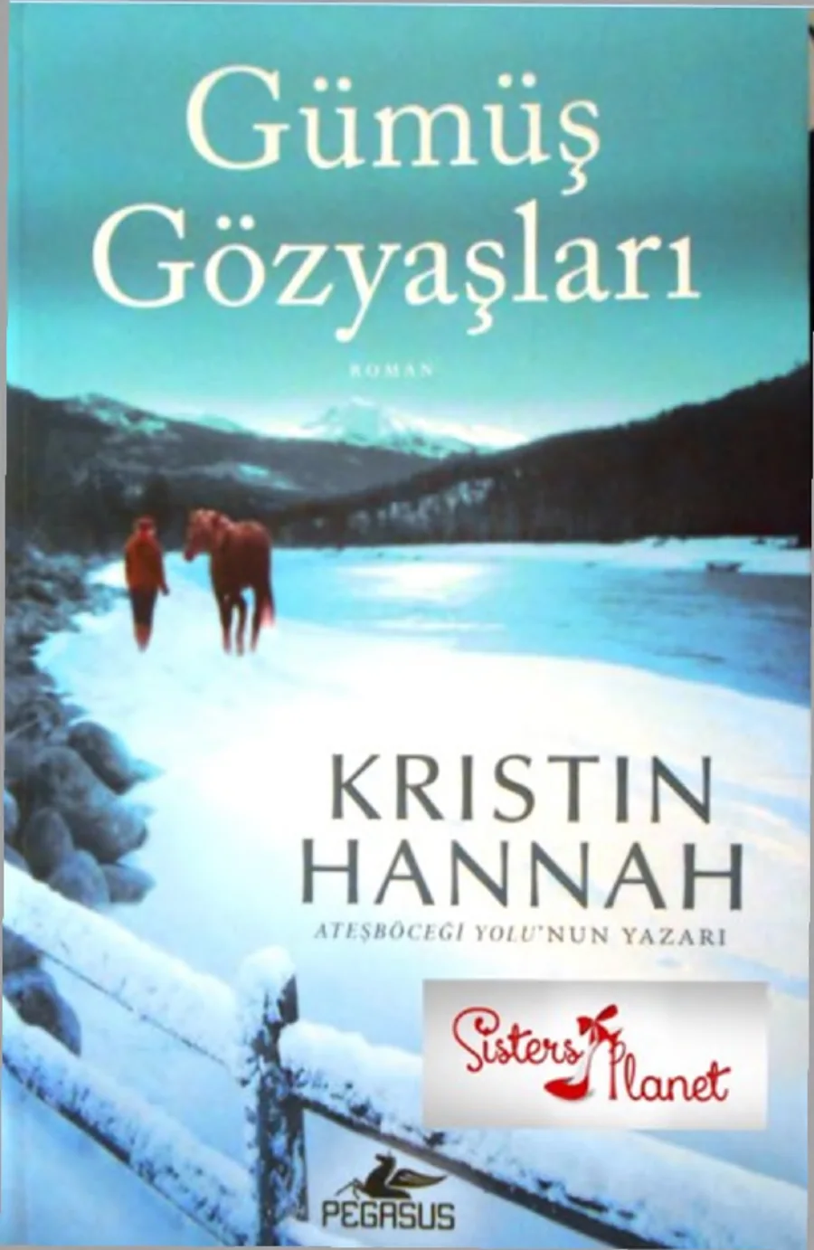 Gümüş Gözyaşları kapak görseli