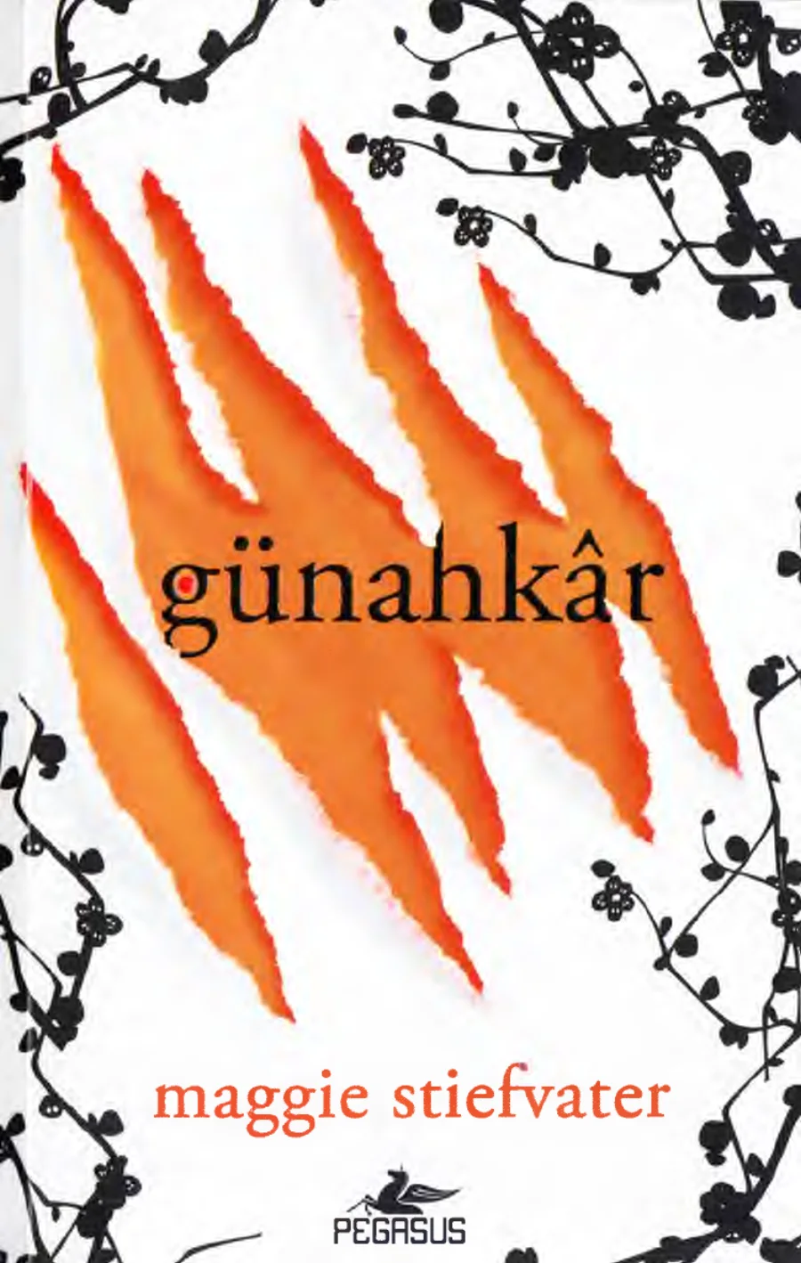 Günahkar kitap kapağı