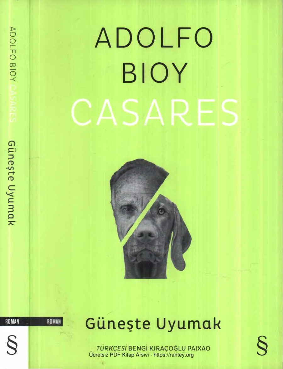 Güneşte Uyumak kapak görseli