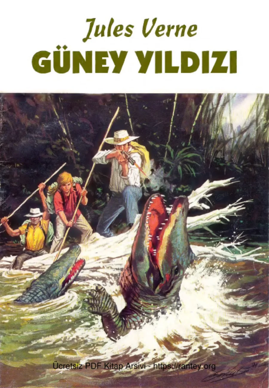 Güney Yıldızı kapak görseli