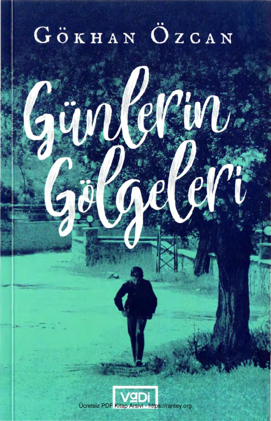 Günlerin Gölgeleri Vadi Yayınları kapak görseli