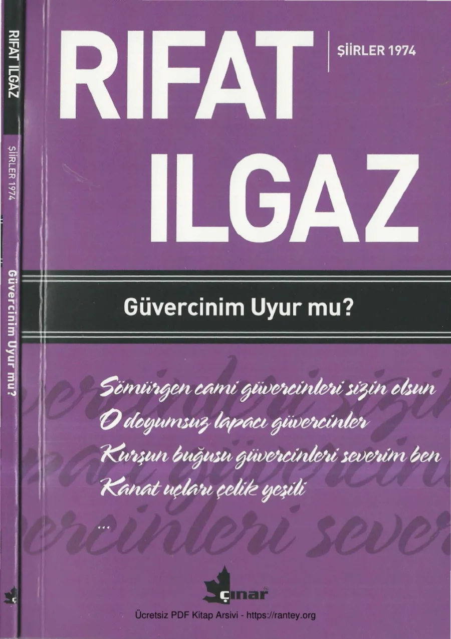 Güvercinim Uyur mu kapak görseli