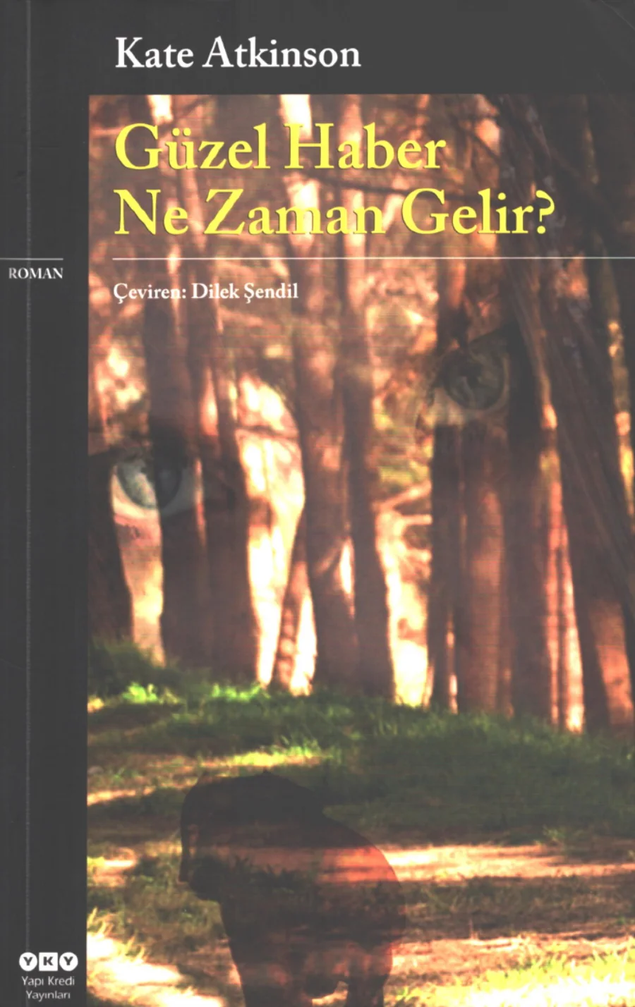 Güzel Haber Ne Zaman Gelir kitap kapağı