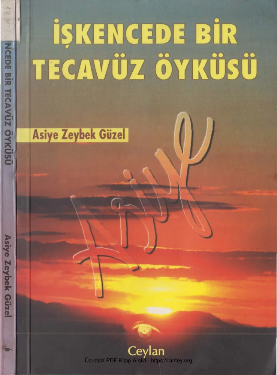 Güzel İşkencede Bir Tecavüz Öyküsü kapak görseli