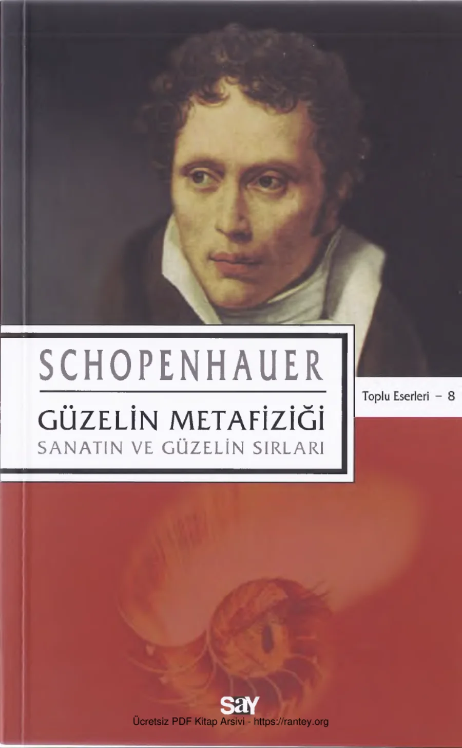 Güzelin Metafiziği kapak görseli