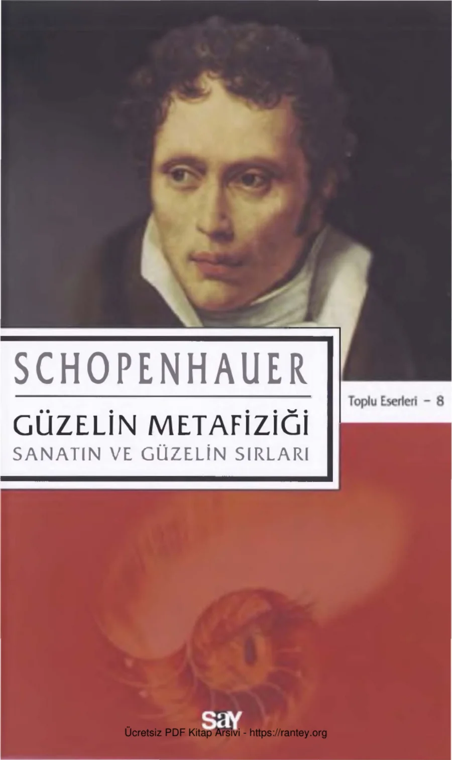 Güzelliğin Metafiziği kapak görseli