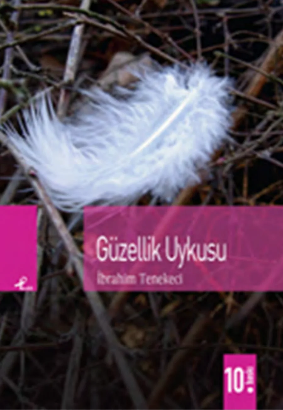 Güzellik Uykusu PDF kapak görseli