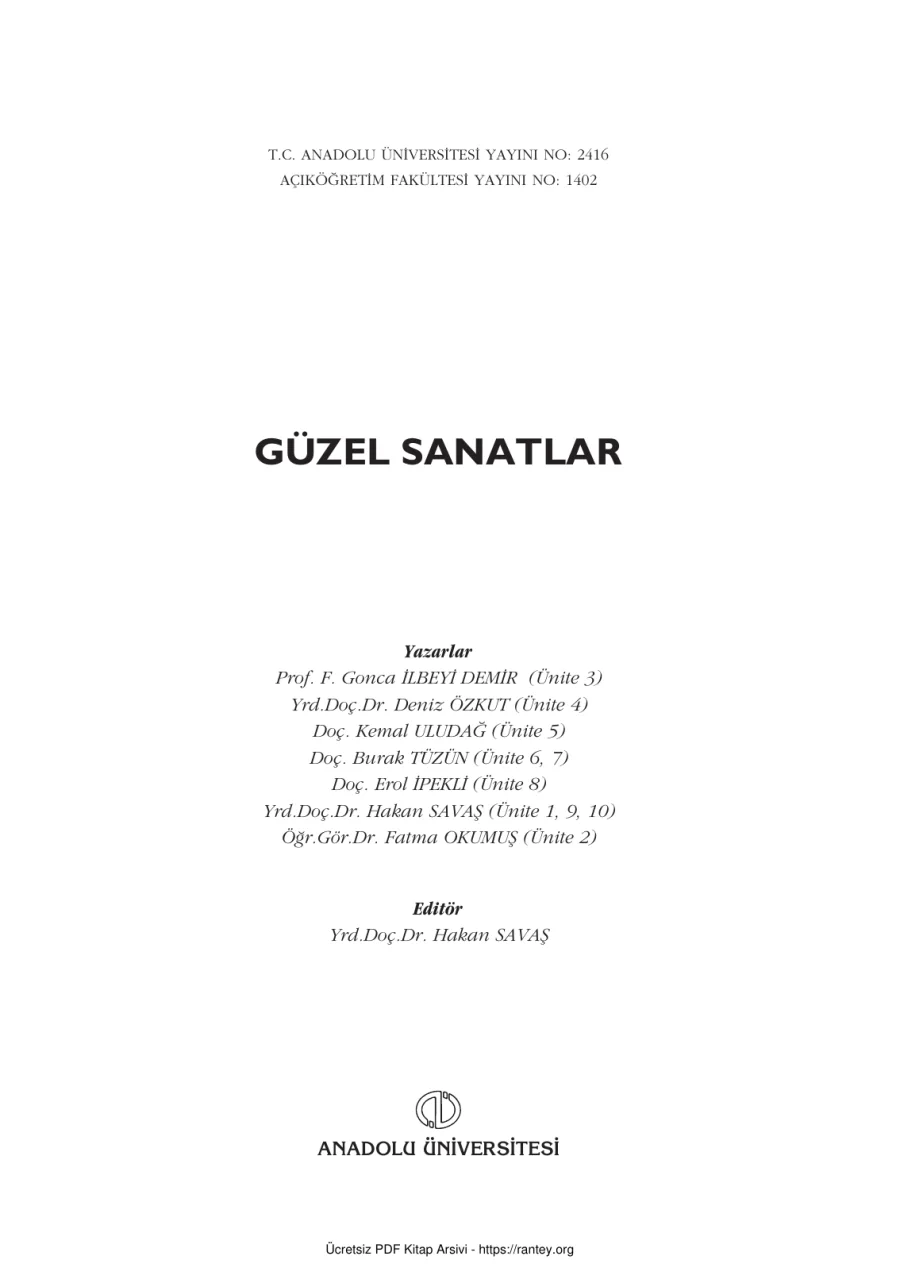 GüzelSanatlar2011 SAN202U kapak görseli