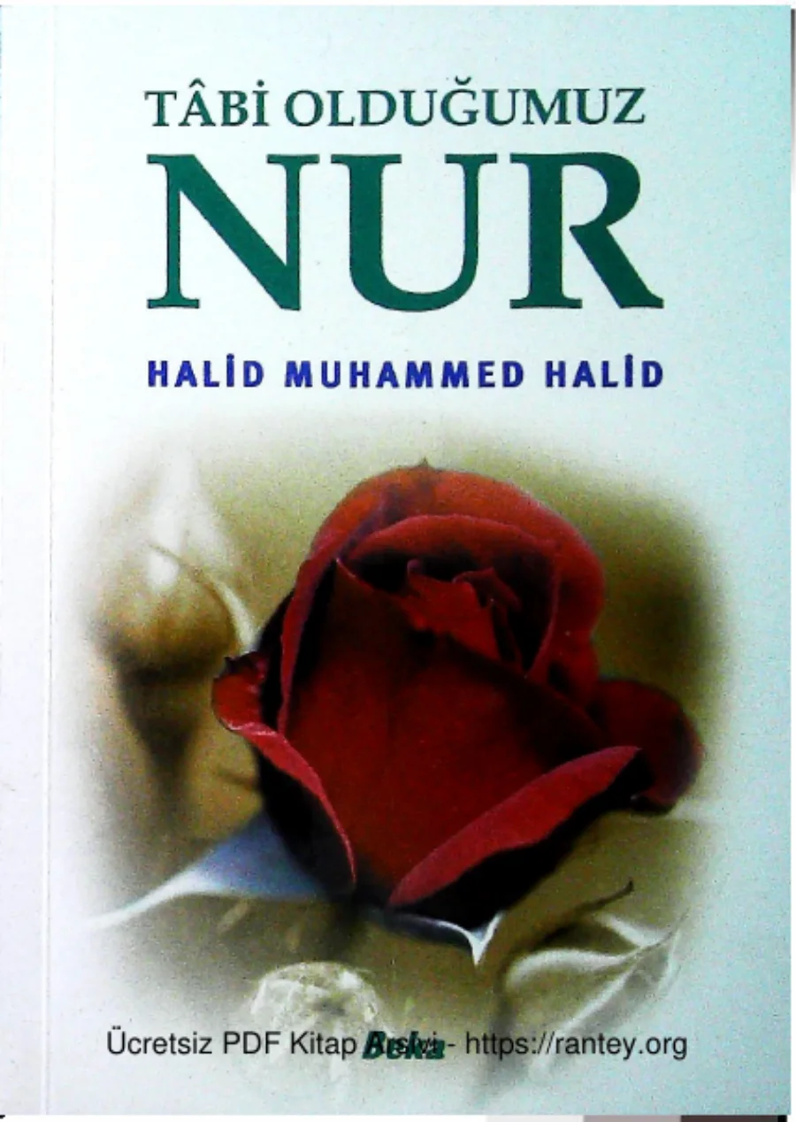 Halid Tabi Oldugumuz Nur Hz Muhammedsav kapak görseli