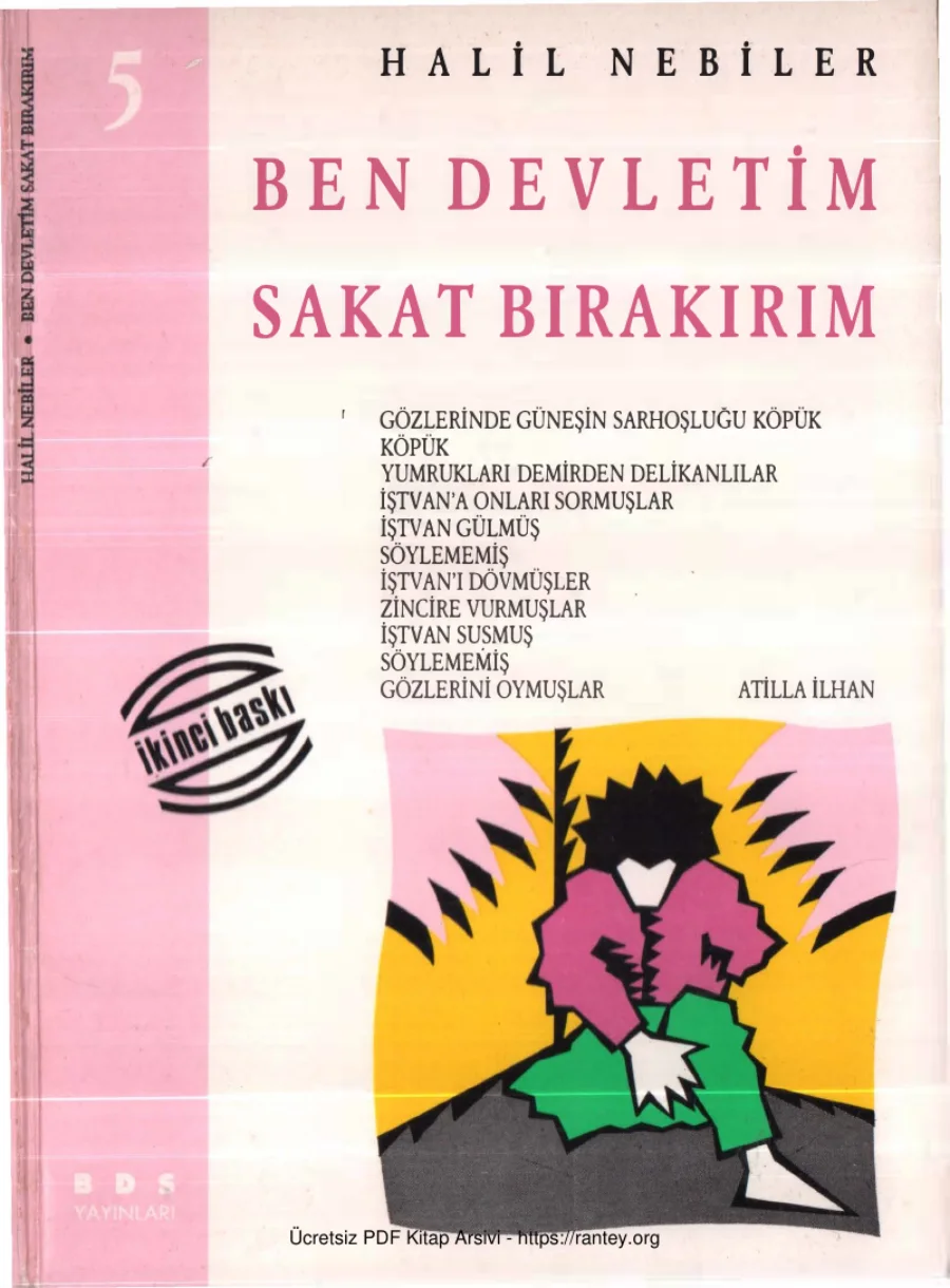 Halil Nebiler Ben Devletim Sakat Bırakırım kapak görseli