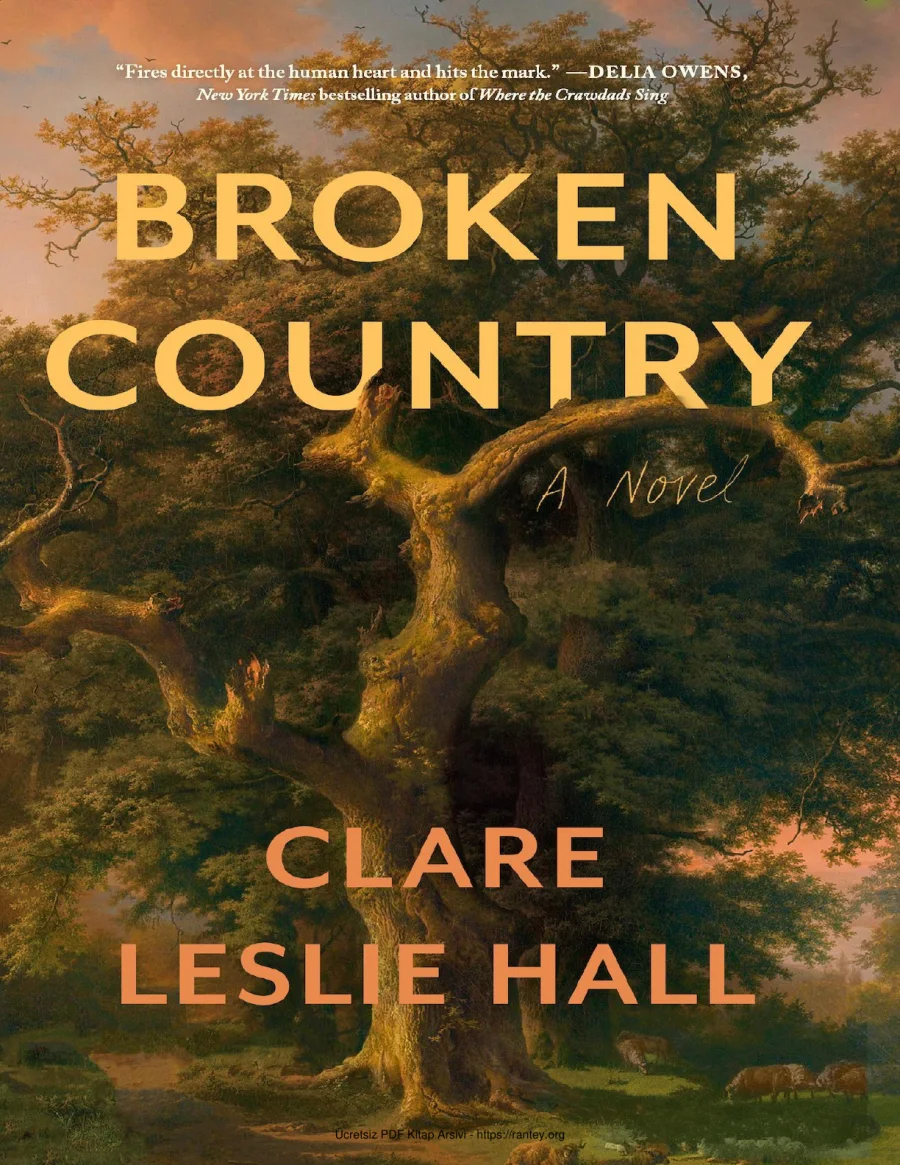 Hall Broken Country kapak görseli