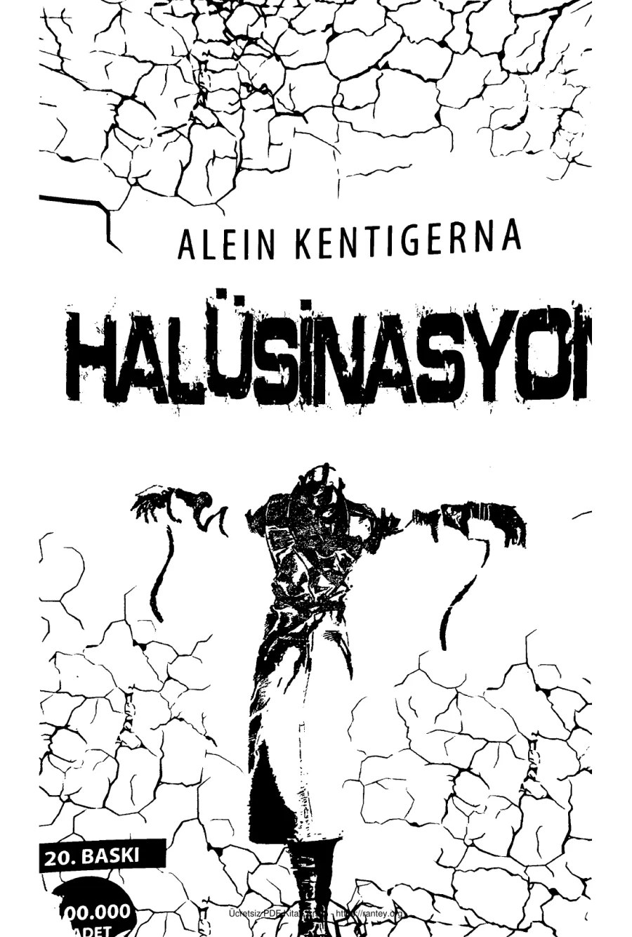 Halusinasyon kapak görseli