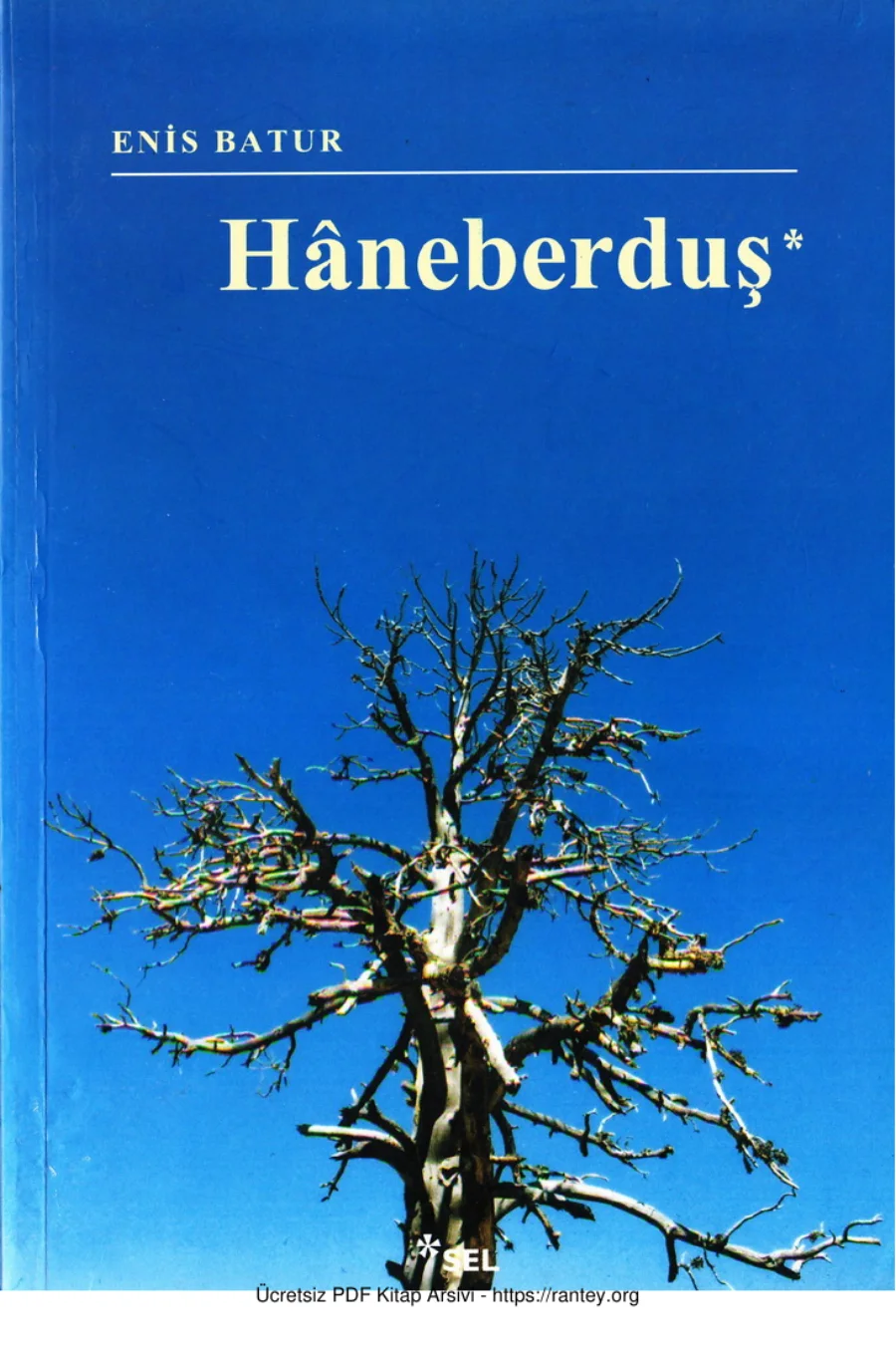 Haneberduş Sel Yayınları kapak görseli