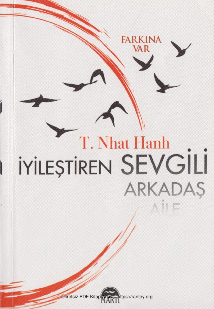 Hanh Farkına Var İyileştiren Sevgili kapak görseli
