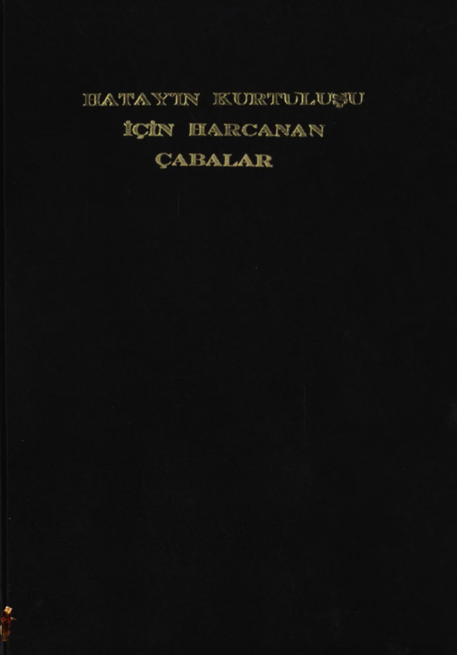 Hatayın Kurtuluşu İçin Harcanan Çabalar kapak görseli