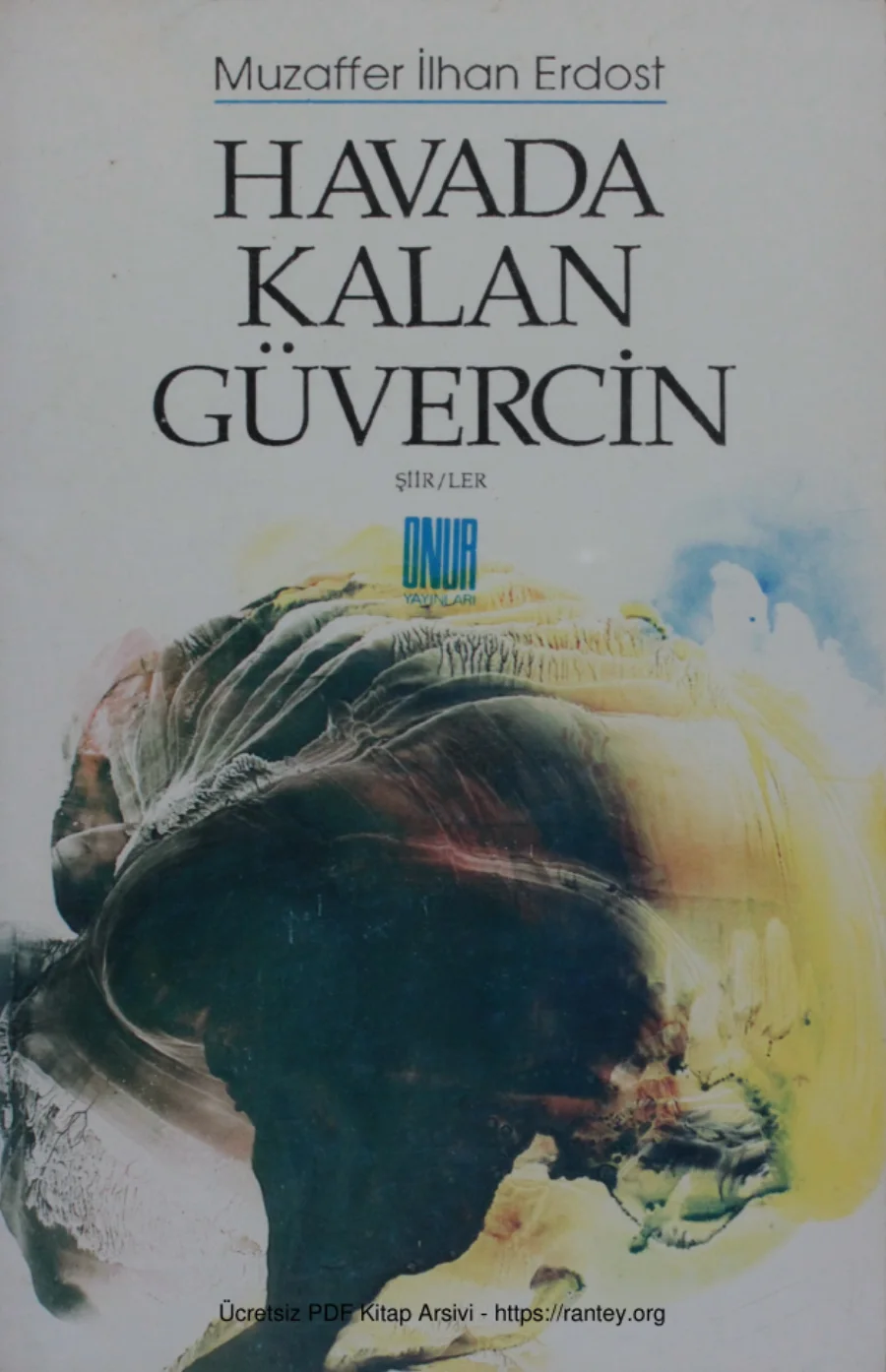 Havada Kalan Güvercin kapak görseli