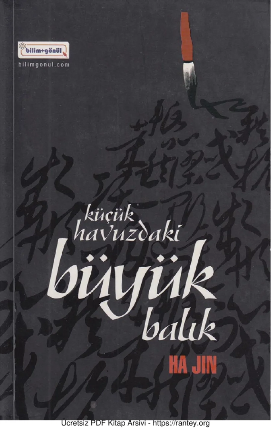 Havuzdaki Büyük Balık kapak görseli