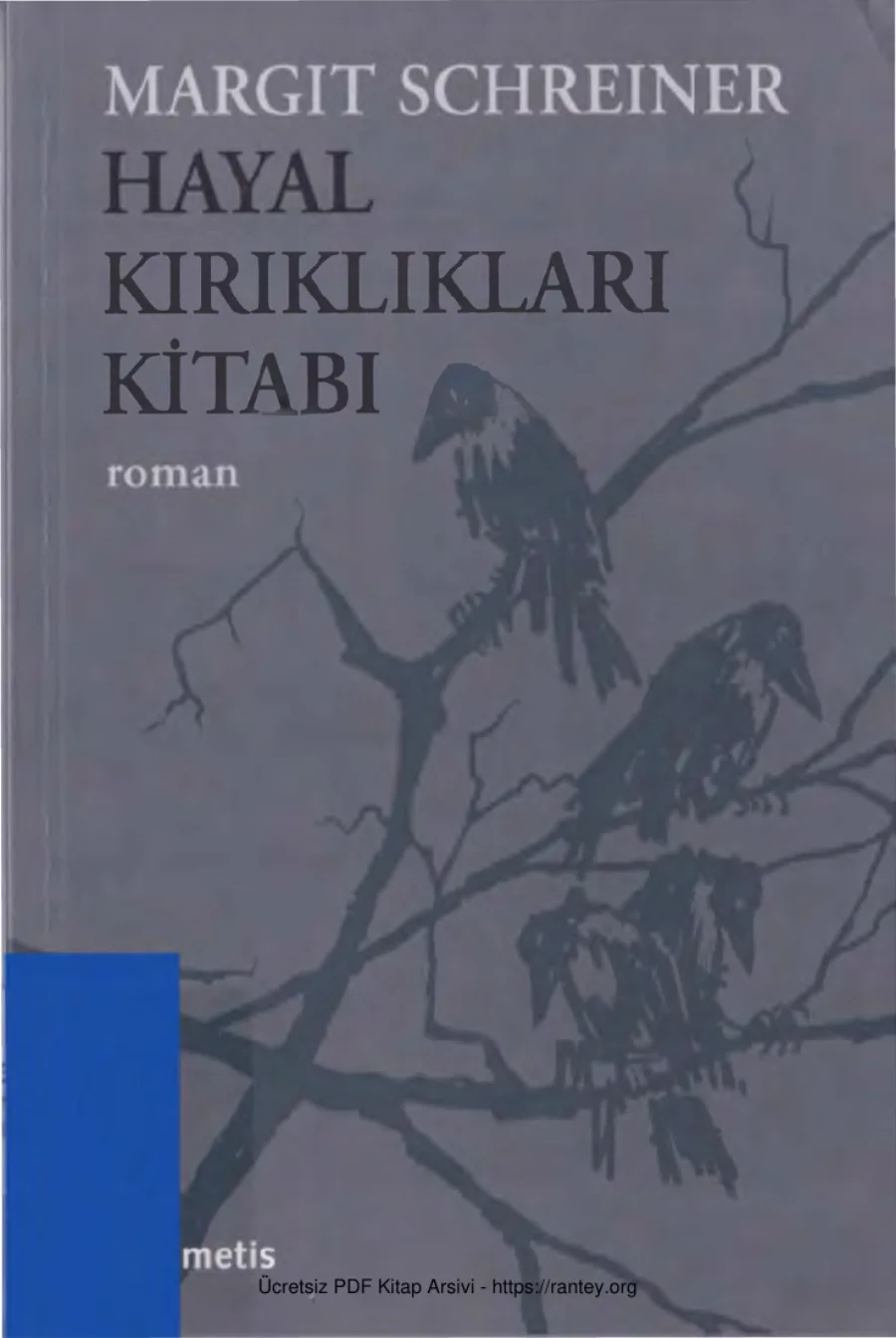 Hayal Kırıklıkları Kitabı kapak görseli