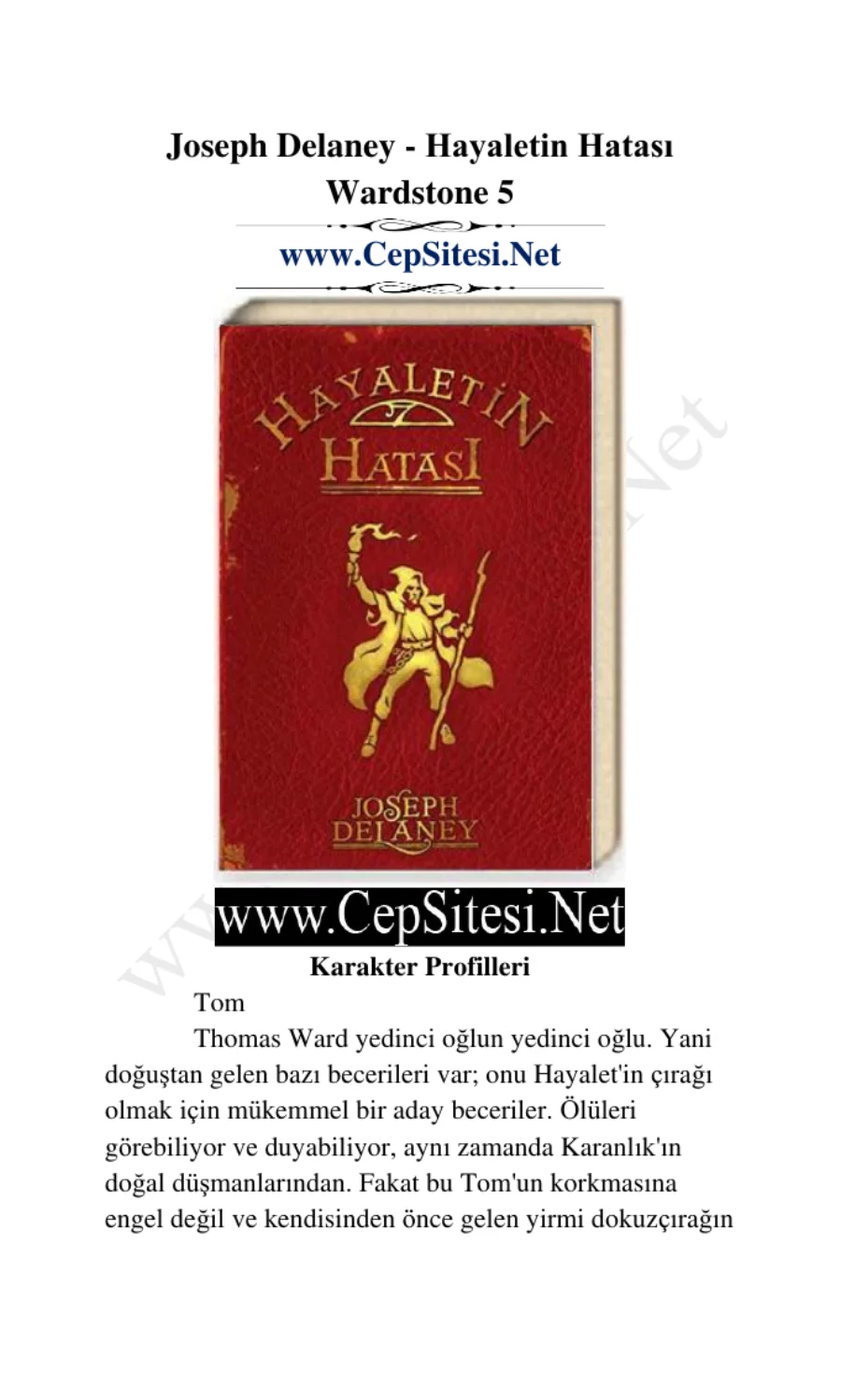 Hayaletin Hatası kapak görseli