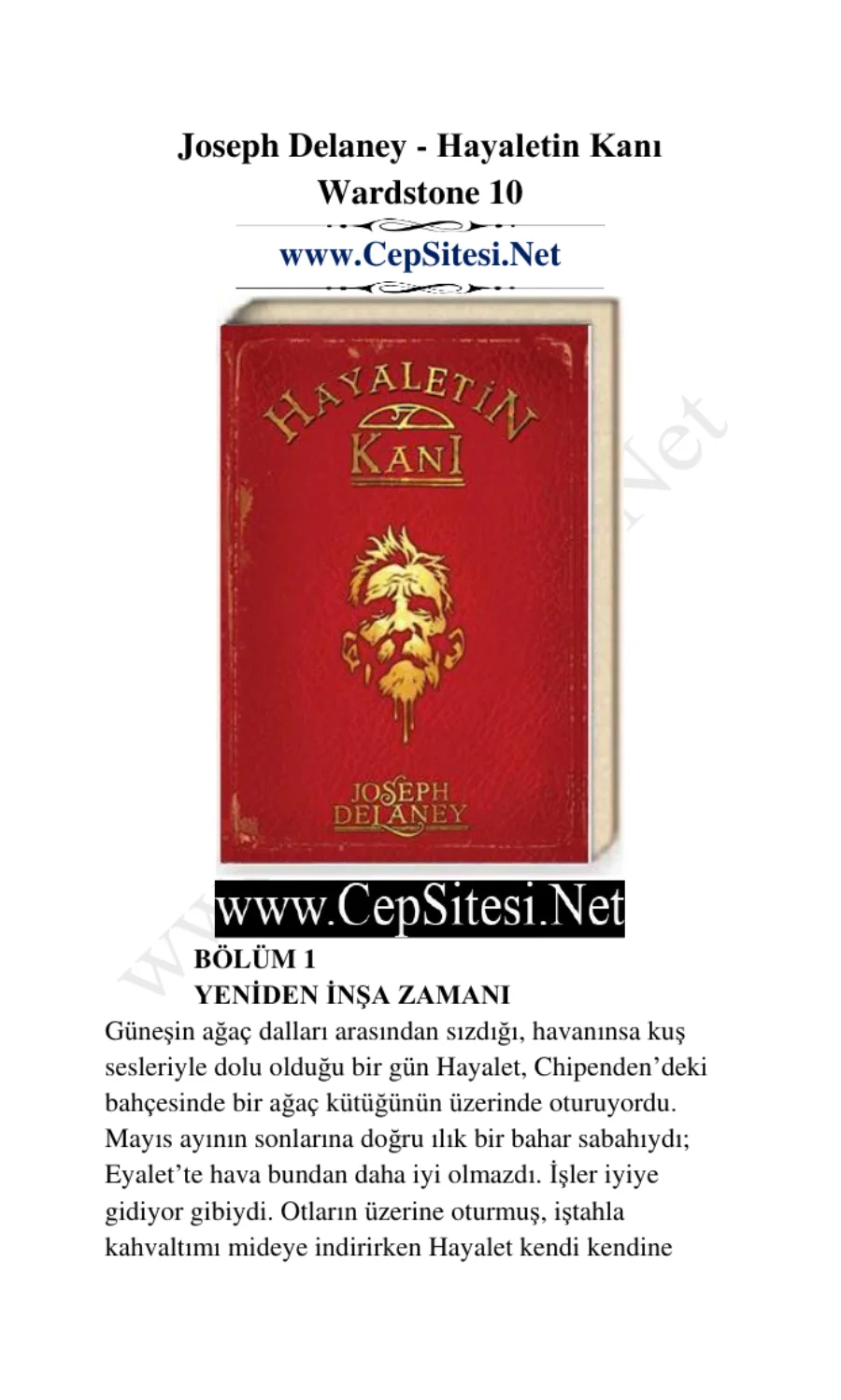 Hayaletin Kanı kapak görseli