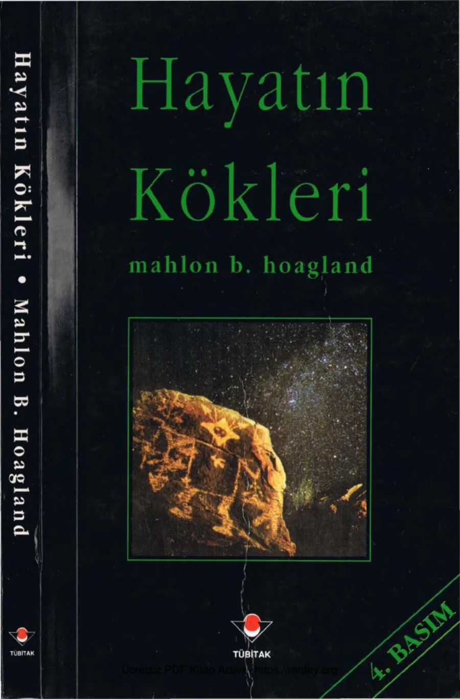 Hayatın Kökleri kapak görseli