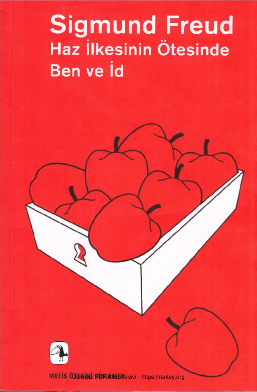 Haz İlkesinin Ötesinde Ben ve İd Metis Yayınları kapak görseli
