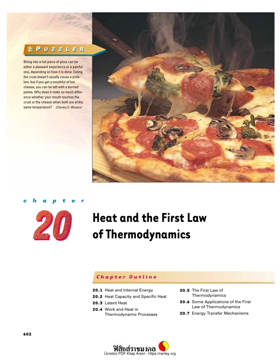 Heat and the First Law of Thermodynamics kapak görseli