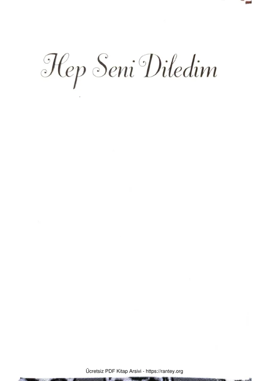 Hep Seni Diledim kapak görseli