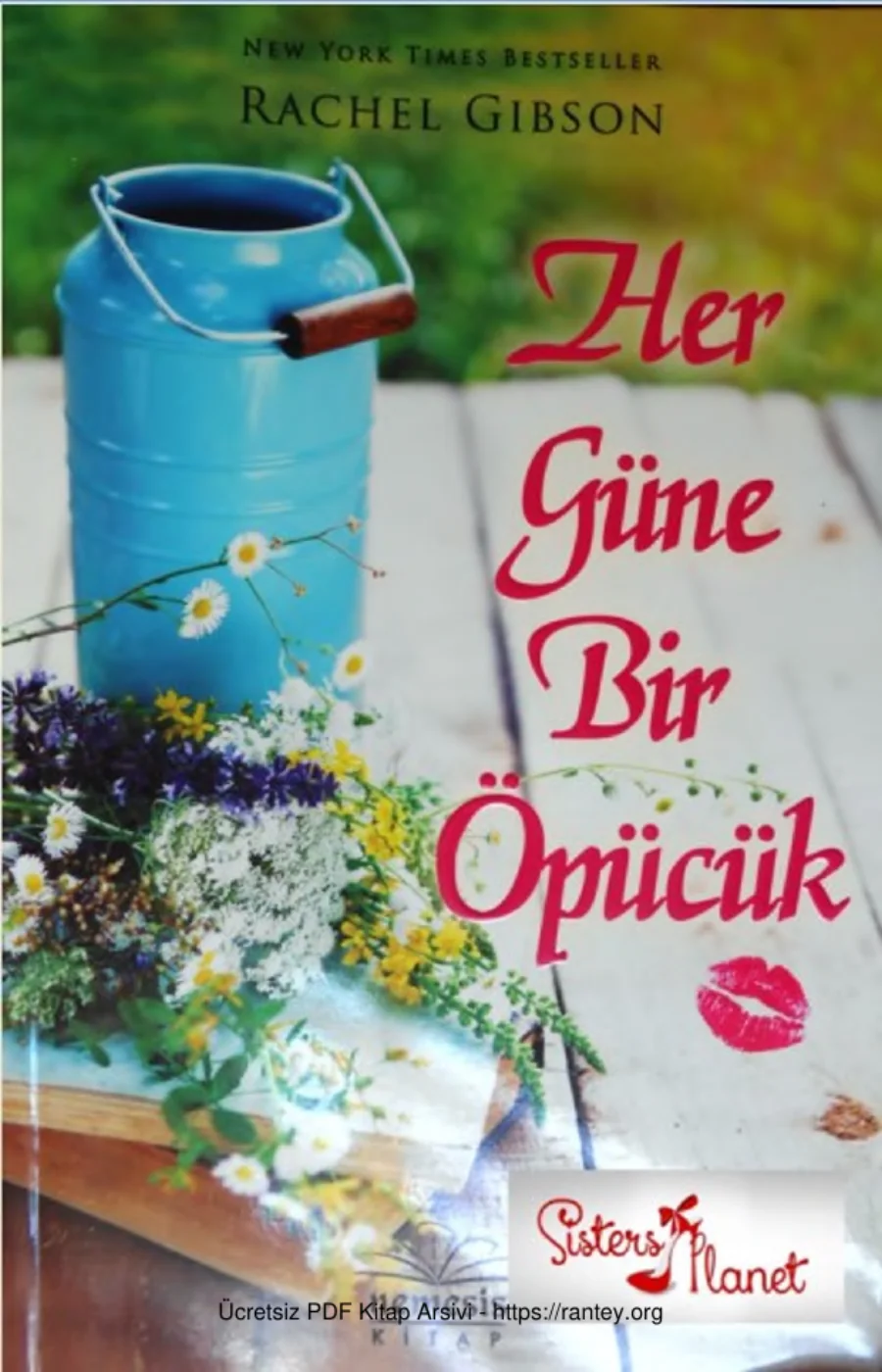 Her Güne Bir Öpücük kapak görseli